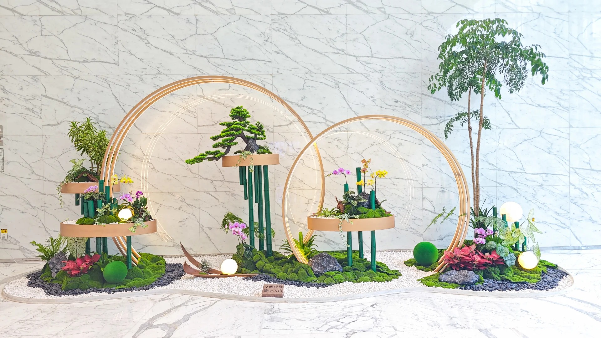 专业花木出租，让宁波慈溪更具魅力